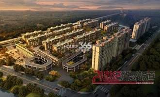 ��݆����A��