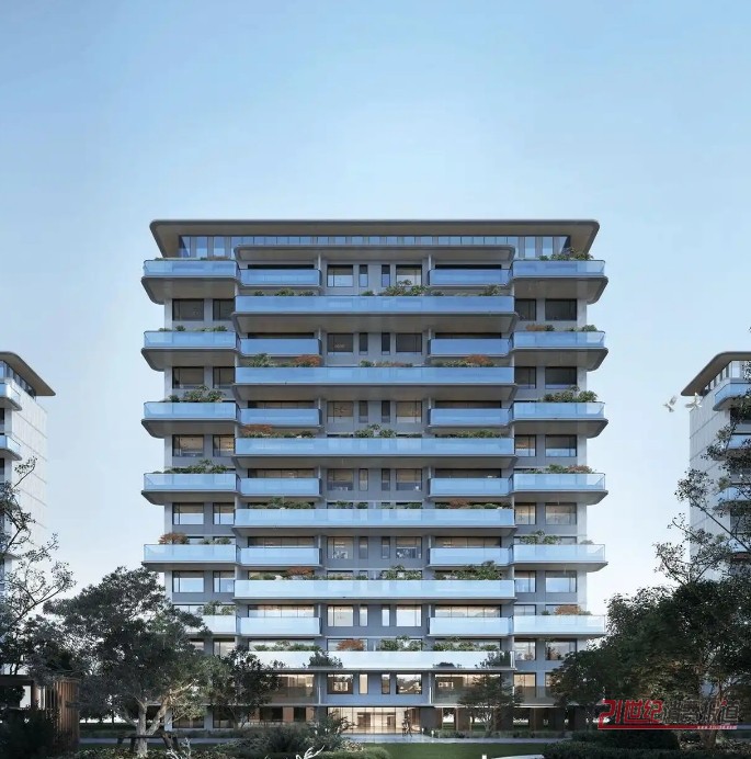 �ǿ�������